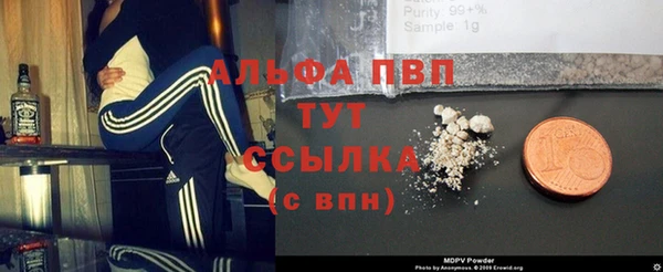 эйфоретик Алзамай