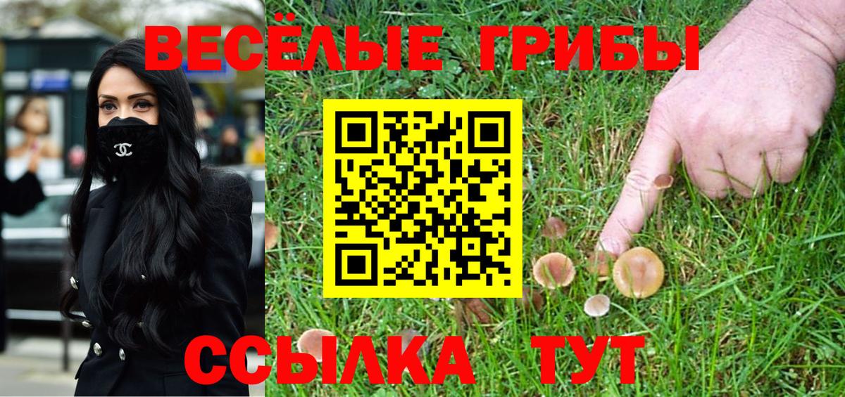 Псилоцибиновые грибы Psilocybine cubensis Морозовск
